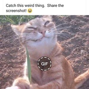 Meet your Posher, Angie